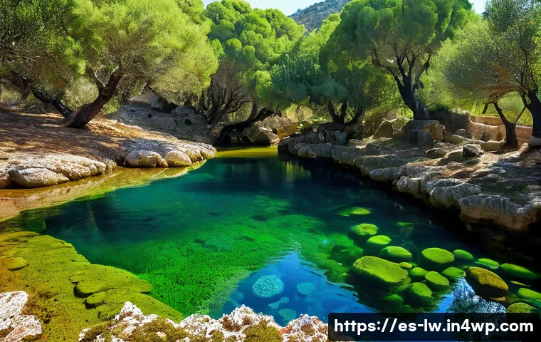자연형 물 정화 시스템의 수질 개선 성과 사례 - The Ancient Spring of Sierra de Huelva: Earth's Natural Filter**
An enchanting, highly detailed lan...