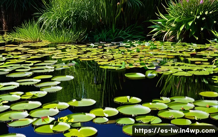 자연형 물 정화 시스템의 수질 개선 성과 사례 관련 이미지 2